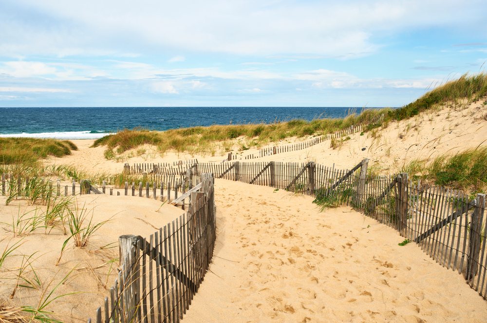 Falling In (Love With) Cape Cod