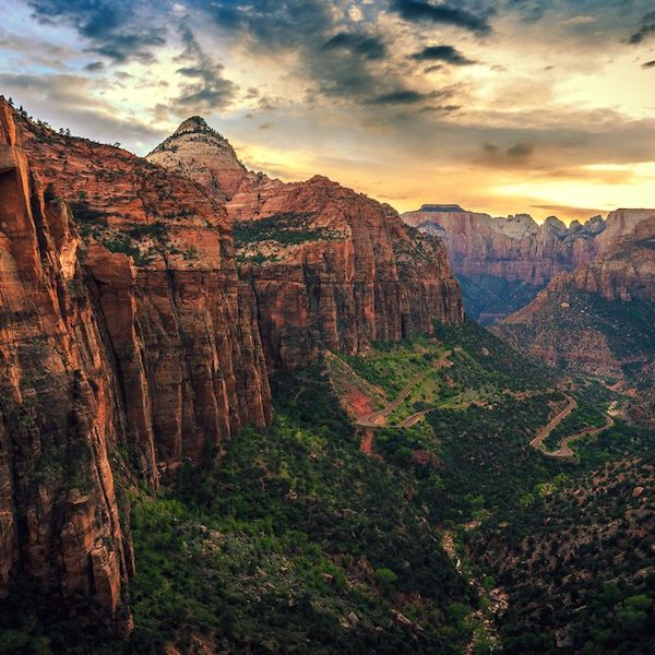 Celebrating National Forest Week